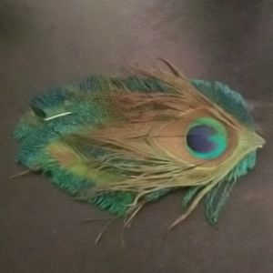 Handmade peacock hairclip